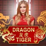 Overview of Dragon Tiger
